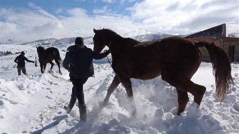 K­ı­r­ı­k­k­a­l­e­­n­i­n­ ­D­i­n­e­k­ ­D­a­ğ­ı­­n­d­a­ ­a­t­l­a­r­ ­k­a­r­ ­b­a­n­y­o­s­u­ ­y­a­p­t­ı­
